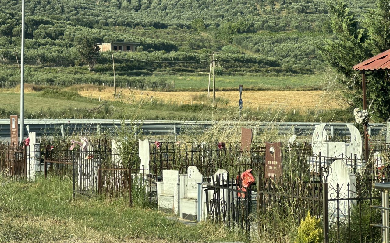 Varrezat e Vlorës të mbuluara nga shkurret, shqetësimi i qytetarëve që nuk po gjen zgjidhje