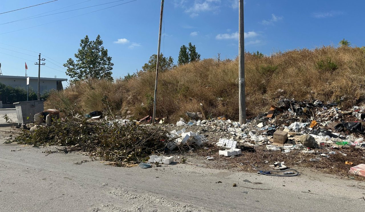 VIDEO – Periferia e harruar, mbetjet pushtojnë rrugët në Vlorë