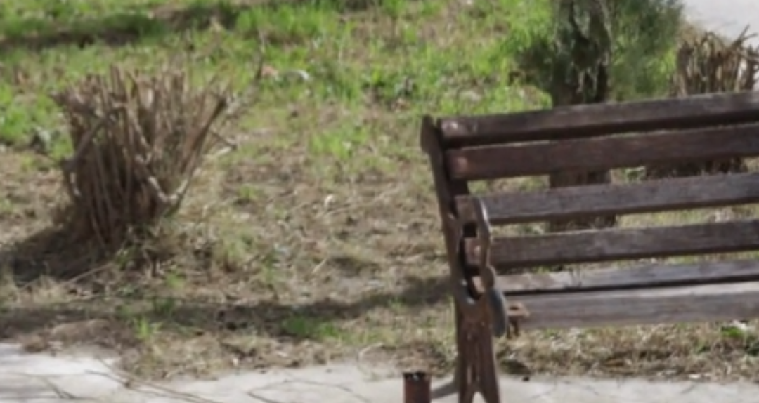 Stolat e dëmtuar në parqet e Vlorës, ambientet çlodhëse të harruara nga bashkia