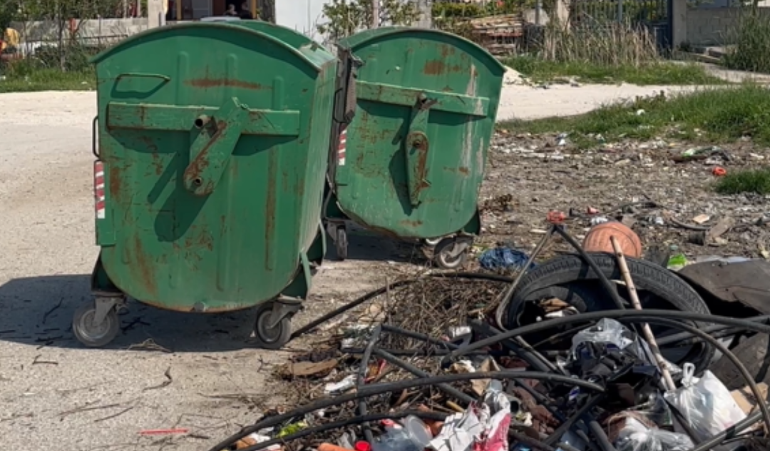 Periferia e Vlorës në mëshirë të fatit, koshat e plehrave kthehen në minilandfille